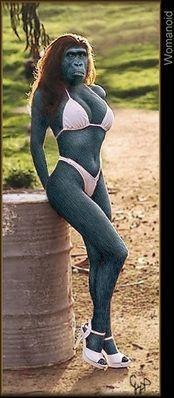 miss de 1