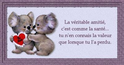 la veritable amitié
